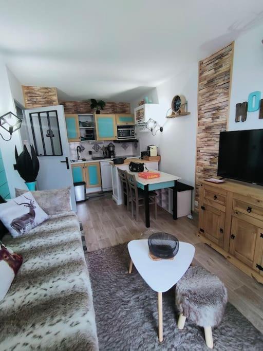 Apartment Superbe T2, A 100 Metres Des Pistes, Piscine D'ete *